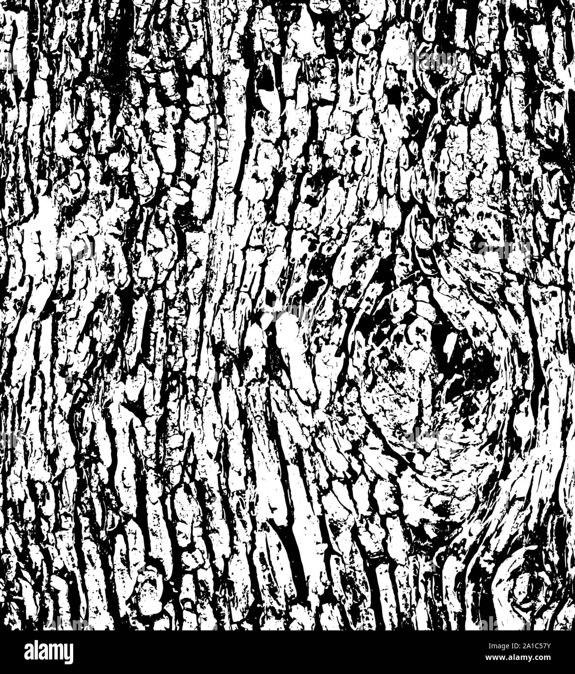 maple tree bark drawing