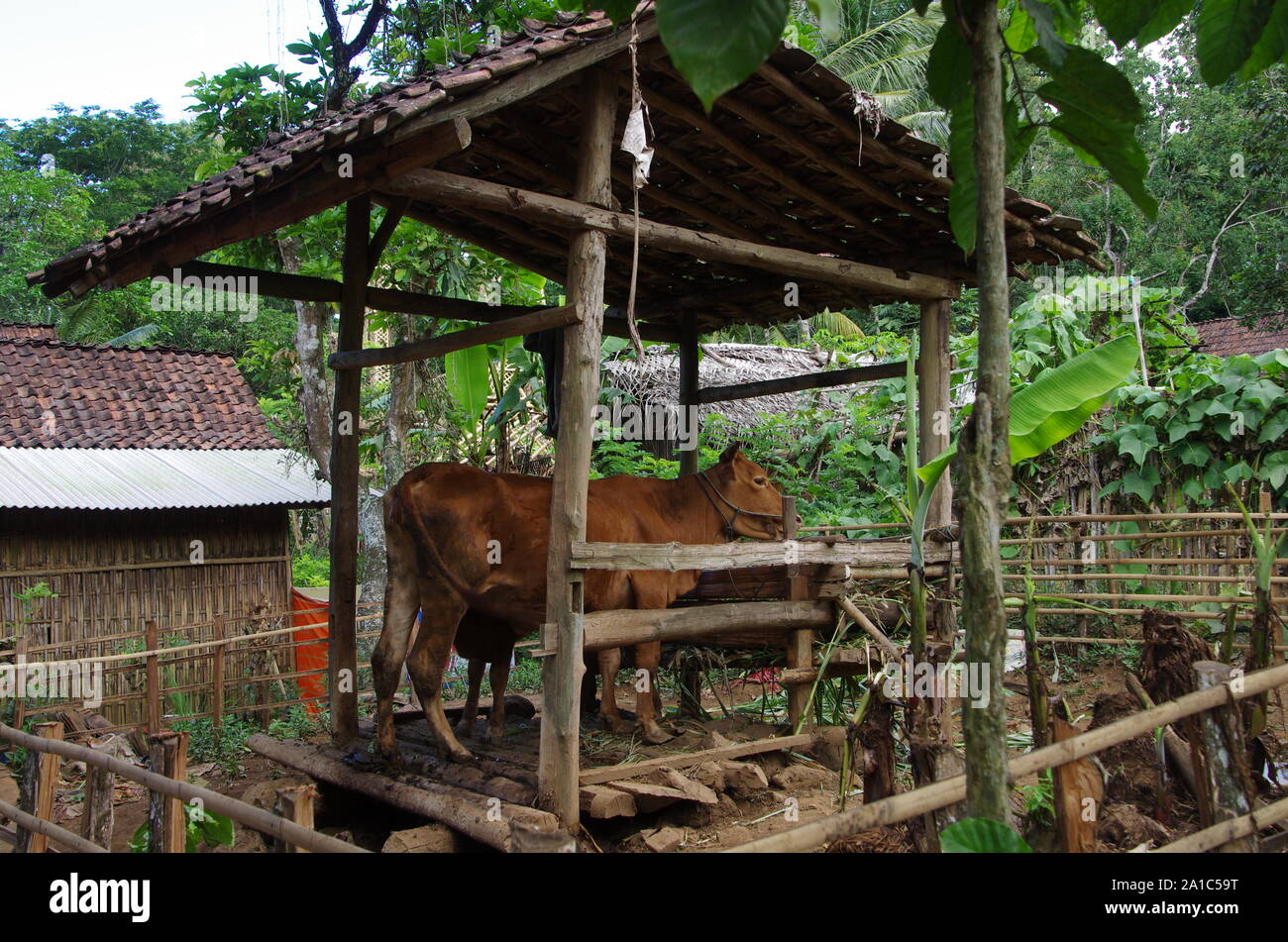 Traditional village on the Java island in Indonesiea Stock Photo - Alamy