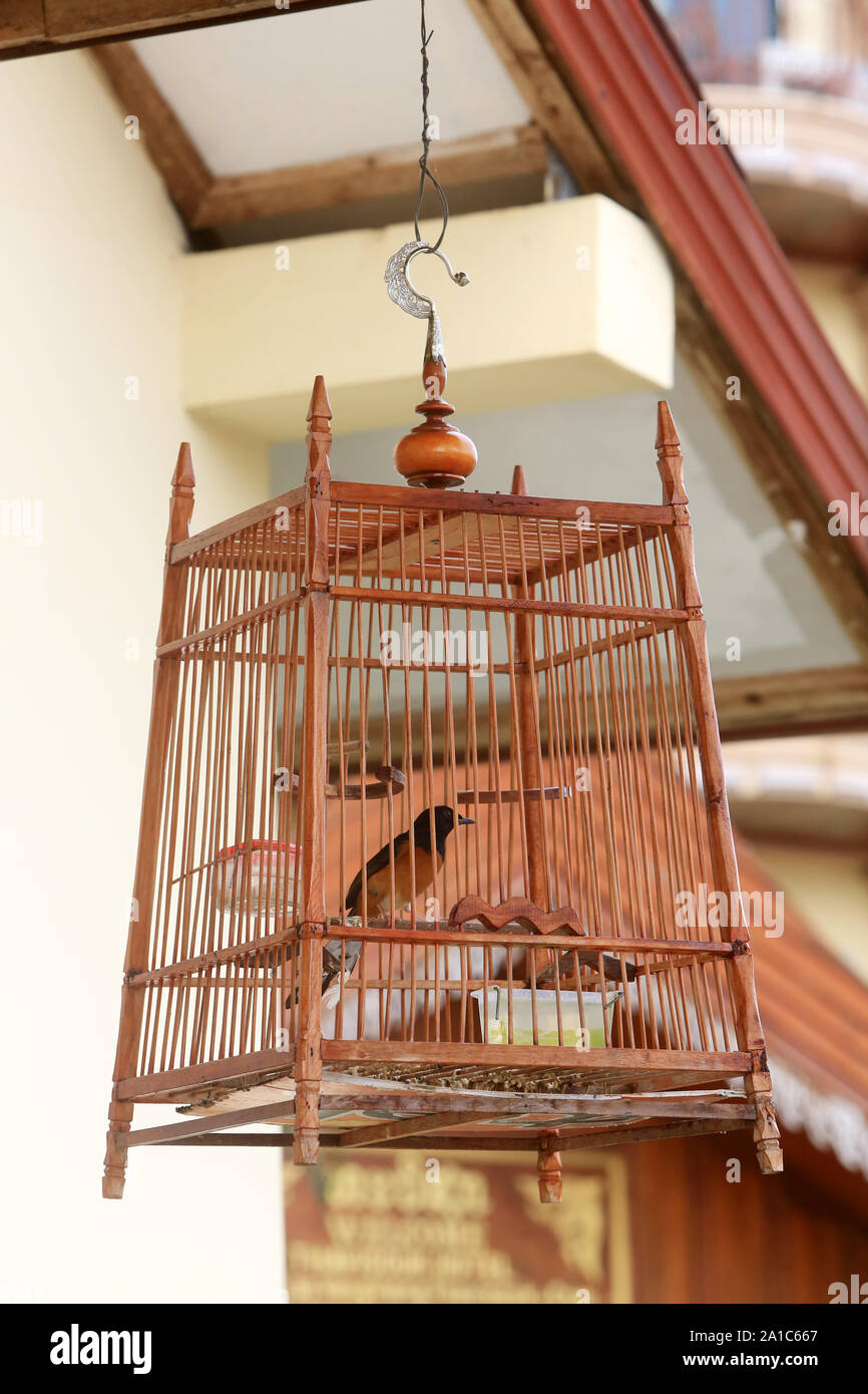 Oiseau dans une cage en bois. Vieng Vang. Laos. / Bird in a wooden cage. Vieng Vang. Laos. Stock Photo