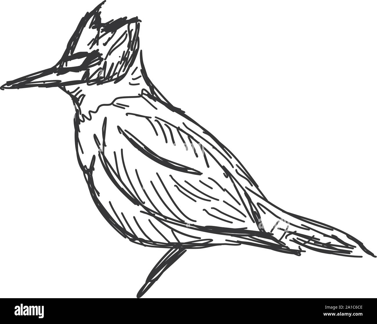 Flying Birds Stock Illustration  Download Image Now  Bird Line Art  Seagull  iStock