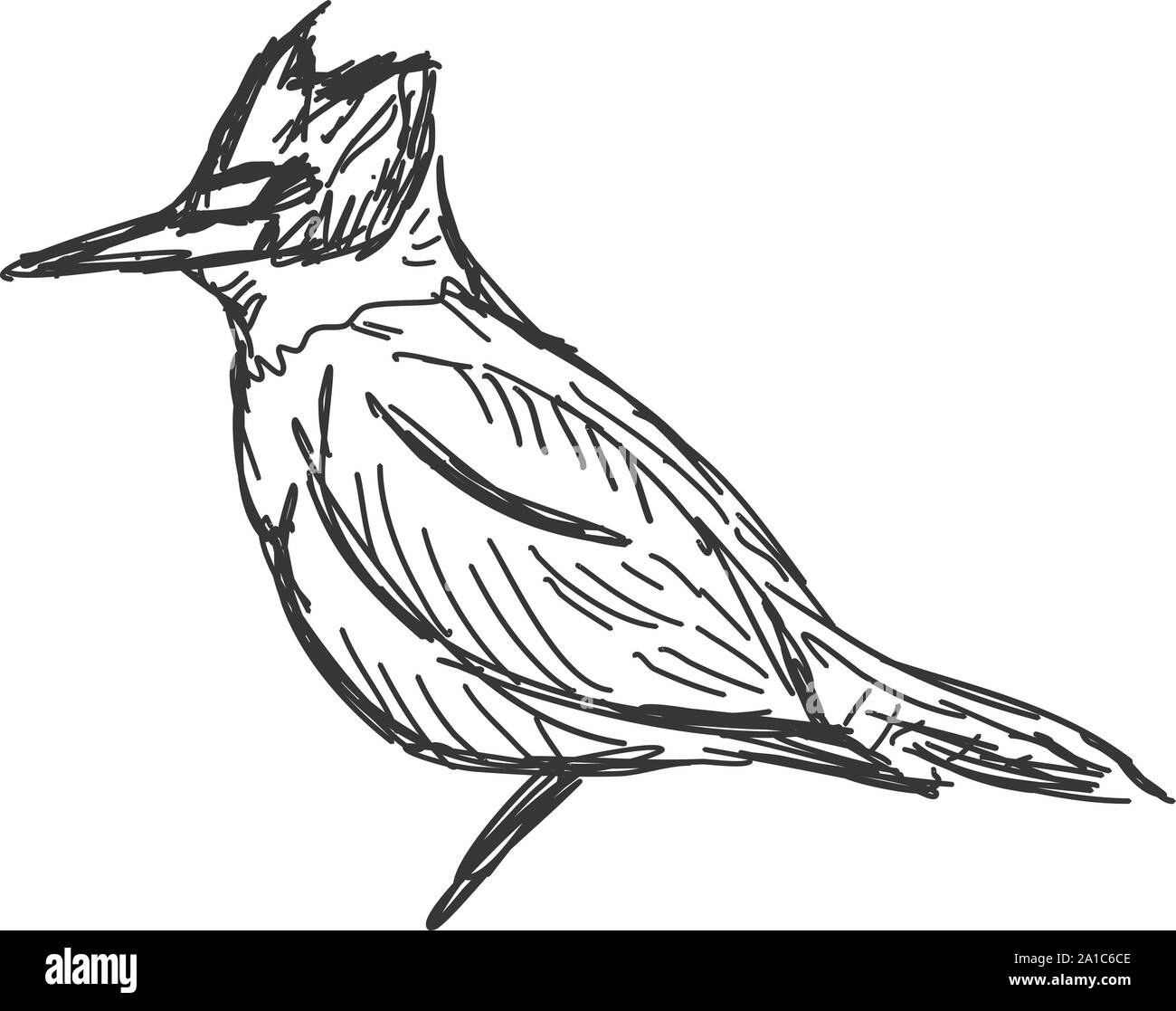 How to Draw Birds: 8 Techniques and Tips | Artists Network