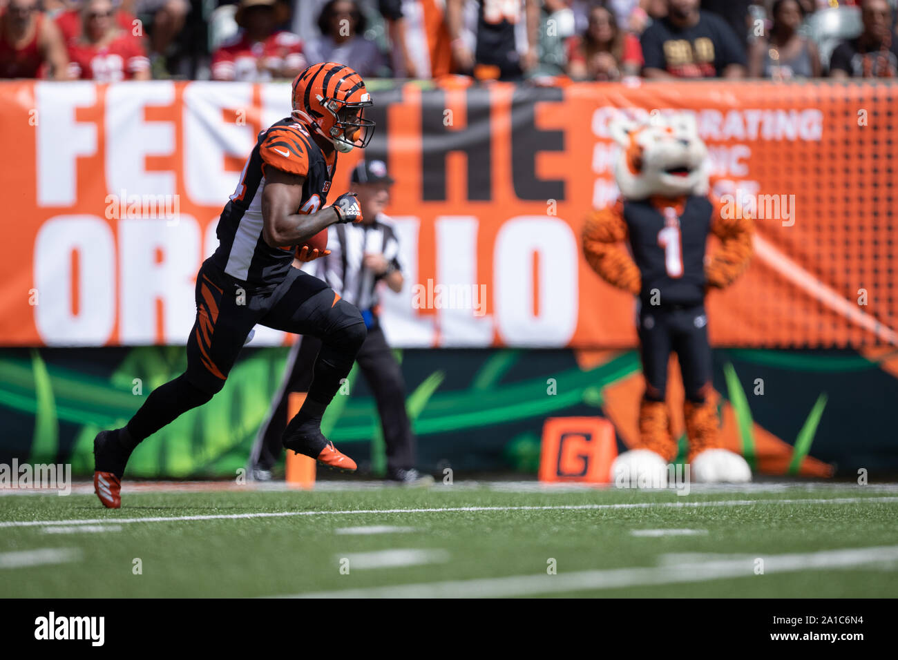 Cincinnati Bengals cornerback Tony McRae (29) after an NFL football  preseason game between the Indianapolis Colts and the Cincinnati Bengals at  Paul Brown Stadium in Cincinnati, OH. Adam Lacy/CSM Stock Photo 