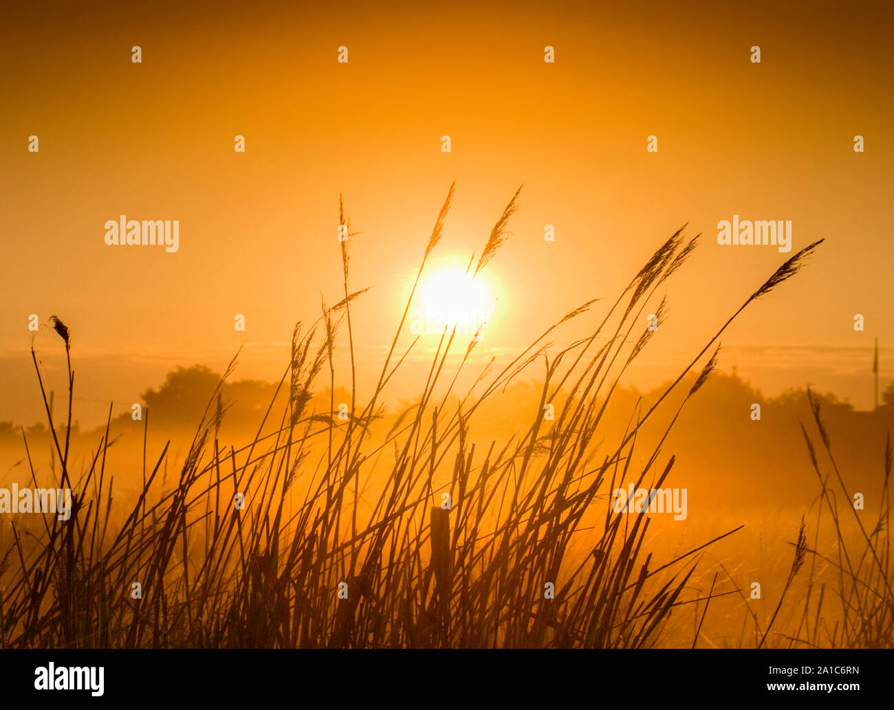 Foggy sunrise over the Marsh Stock Photo