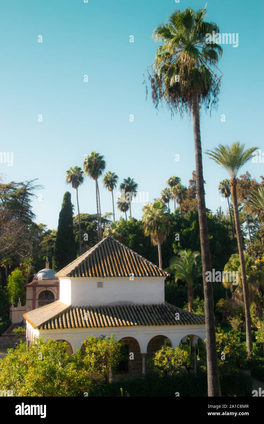 Palm trees and house in the Alcazar of Seville Stock Photo Alamy