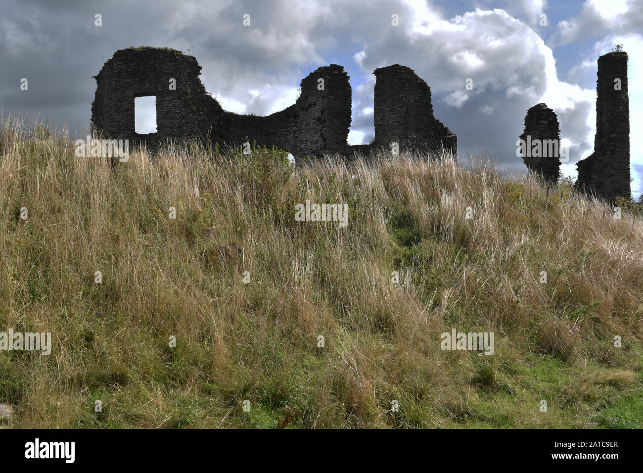 Ruined castle, Newcastle Emlyn, Wales, UK Stock Photo