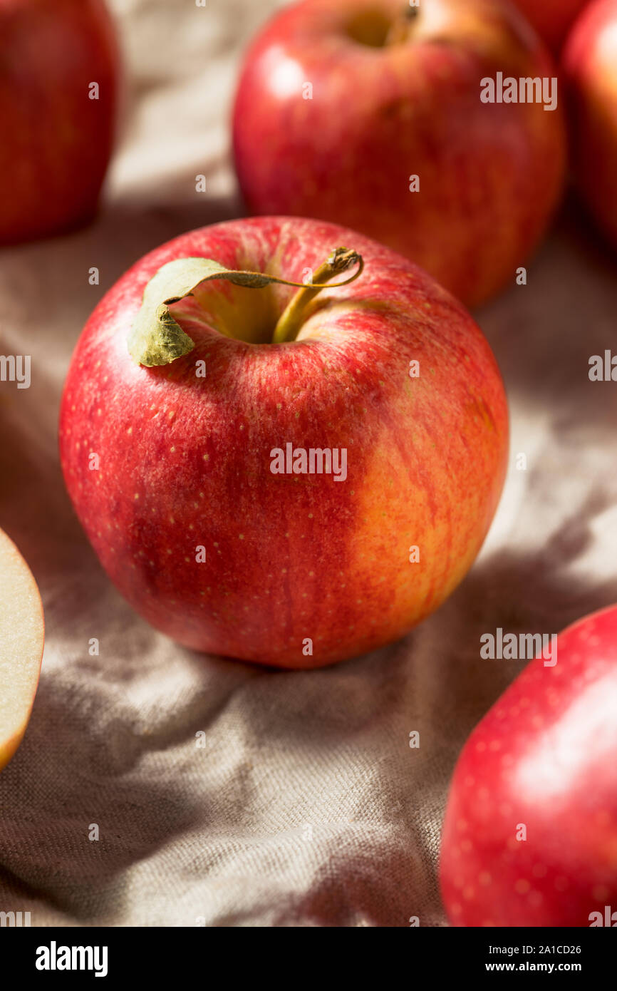 Gala apple organic hi-res stock photography and images - Alamy