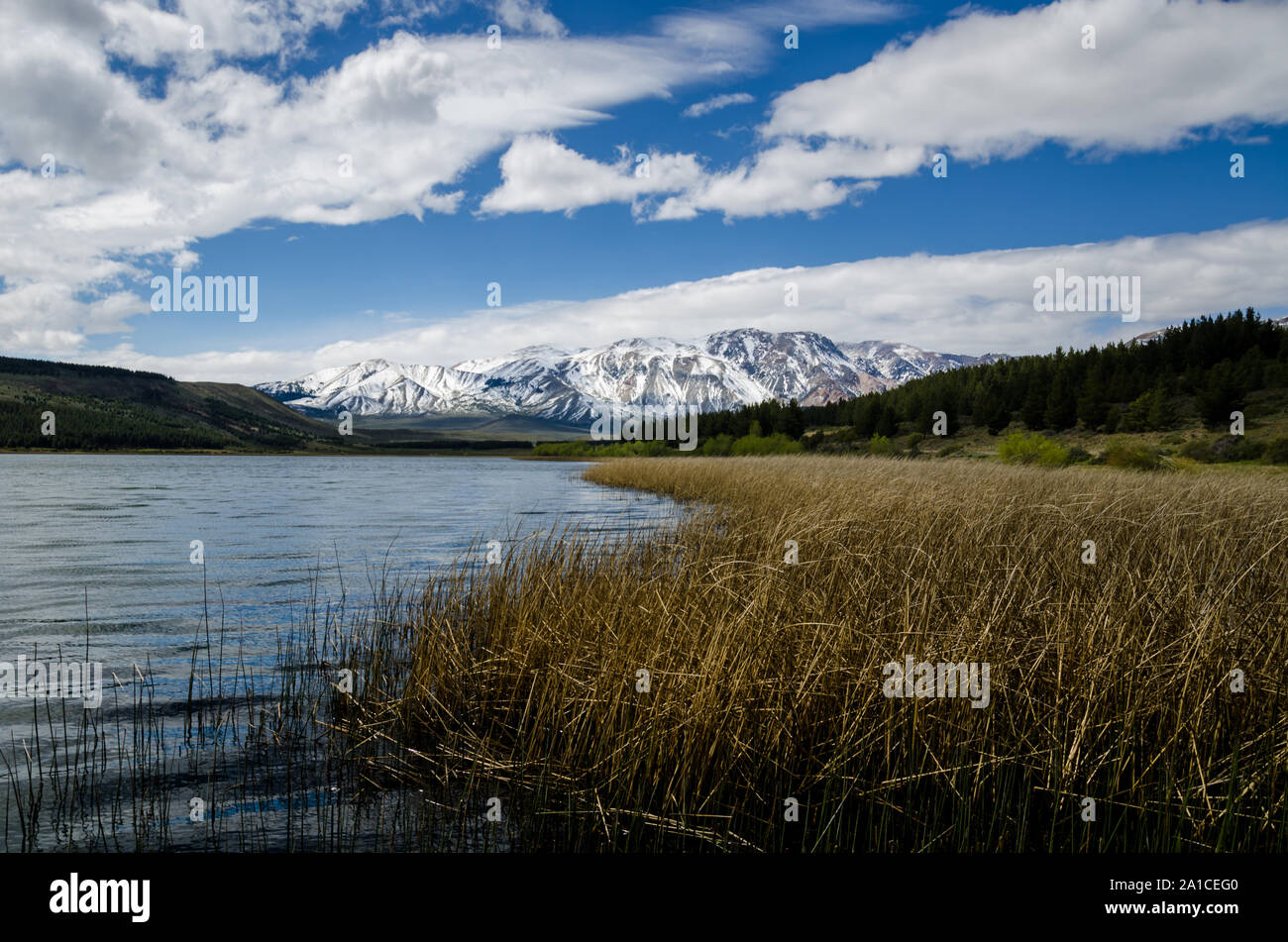 Patagonian landscape of lake with snowy mountains and forest Stock Photo