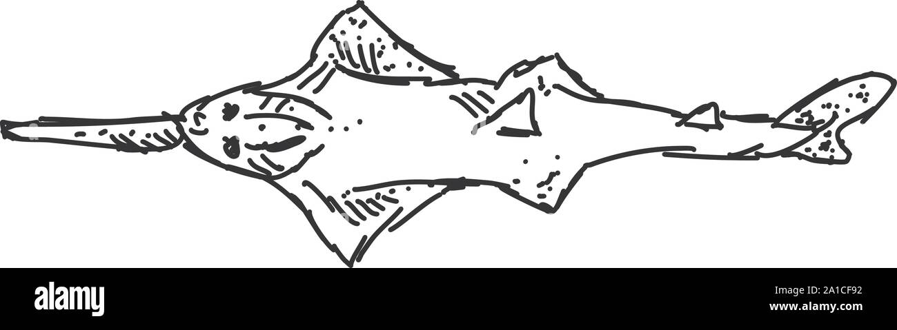 Fish drawing, illustration, vector on white background Stock Vector ...