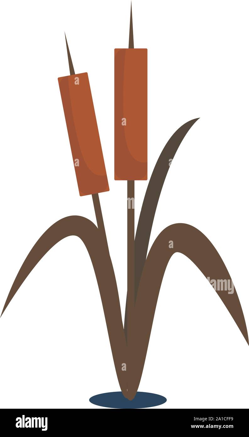 Little bamboo, illustration, vector on white background. Stock Vector