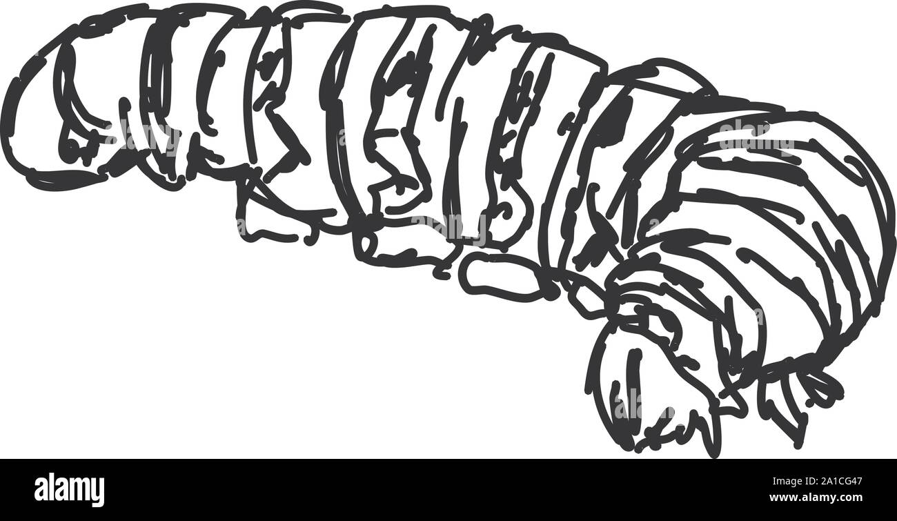 Catepillar, illustration, vector on white background. Stock Vector