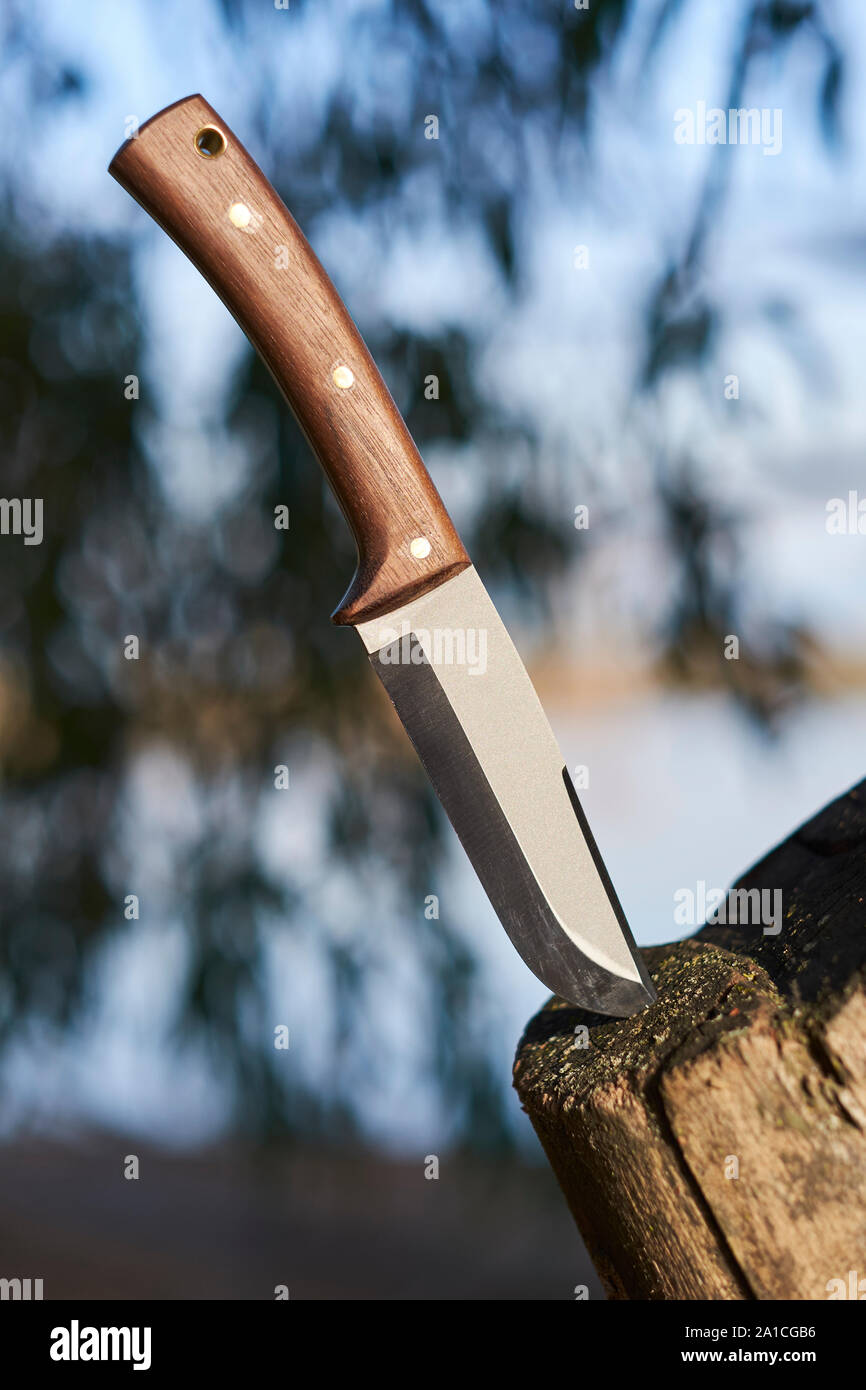 A bushcraft survival knife with a wood handle sticking in a tree deep in the wilderness. Stock Photo
