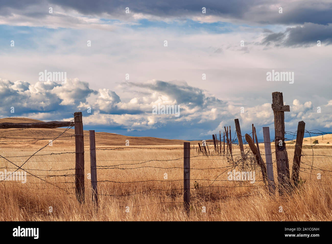 Rural country scene with a barbed wire fence passing through a pasture full of tall brown grass while storm clouds pass overhead. Stock Photo