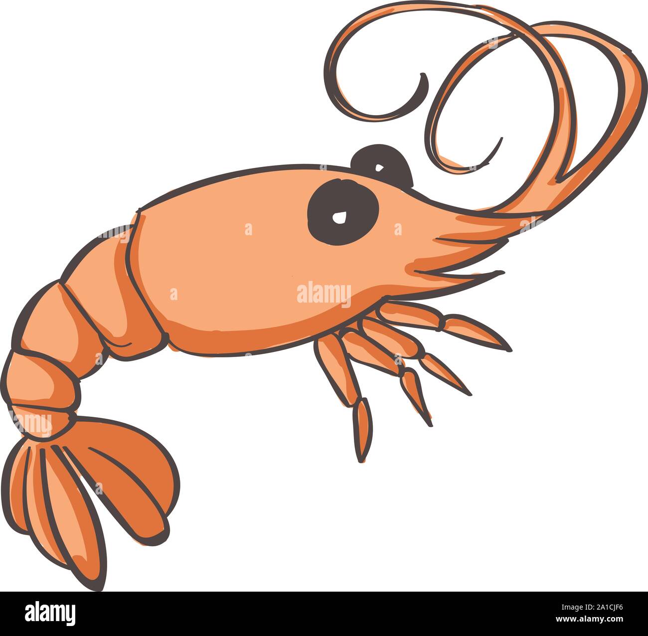 Shrimp, illustration, vector on white background. Stock Vector