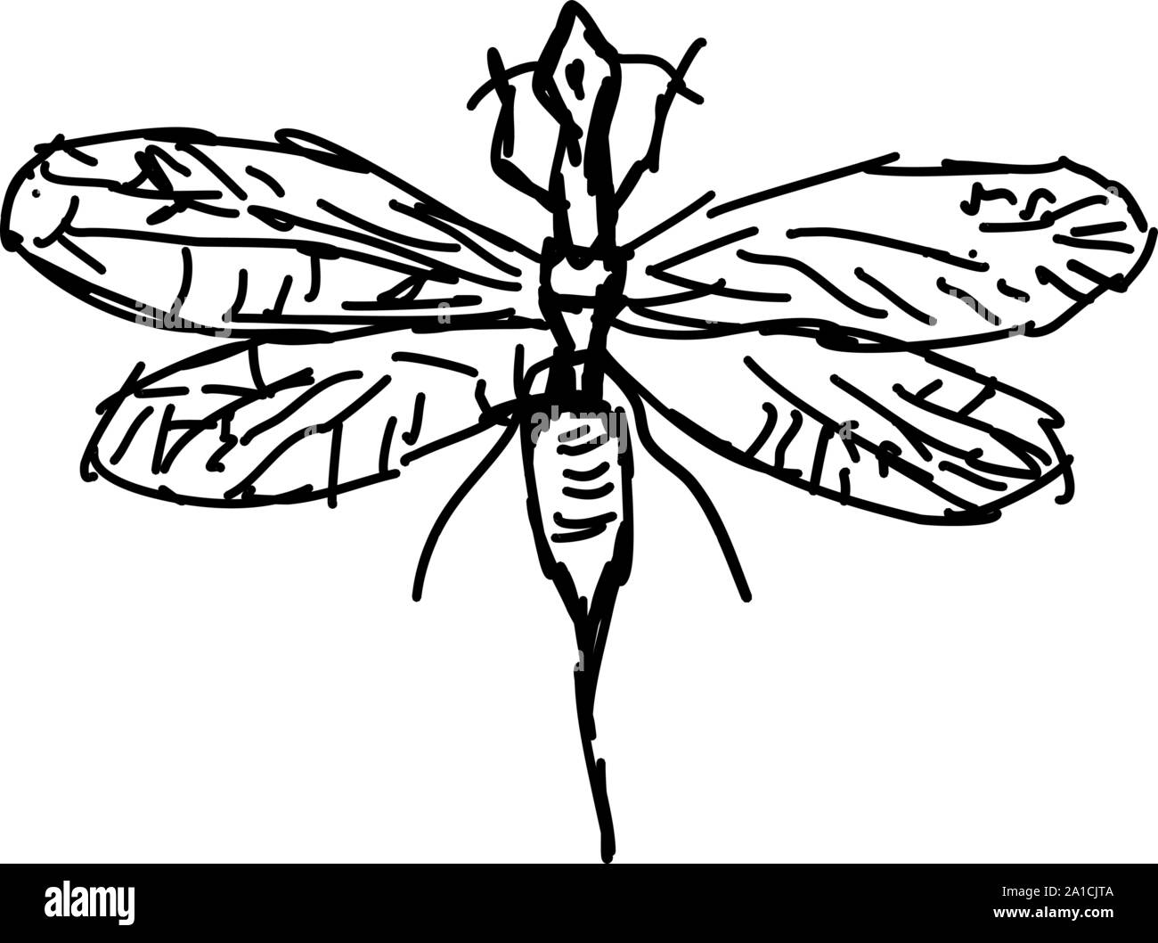 Snakefly drawing, illustration, vector on white background. Stock Vector