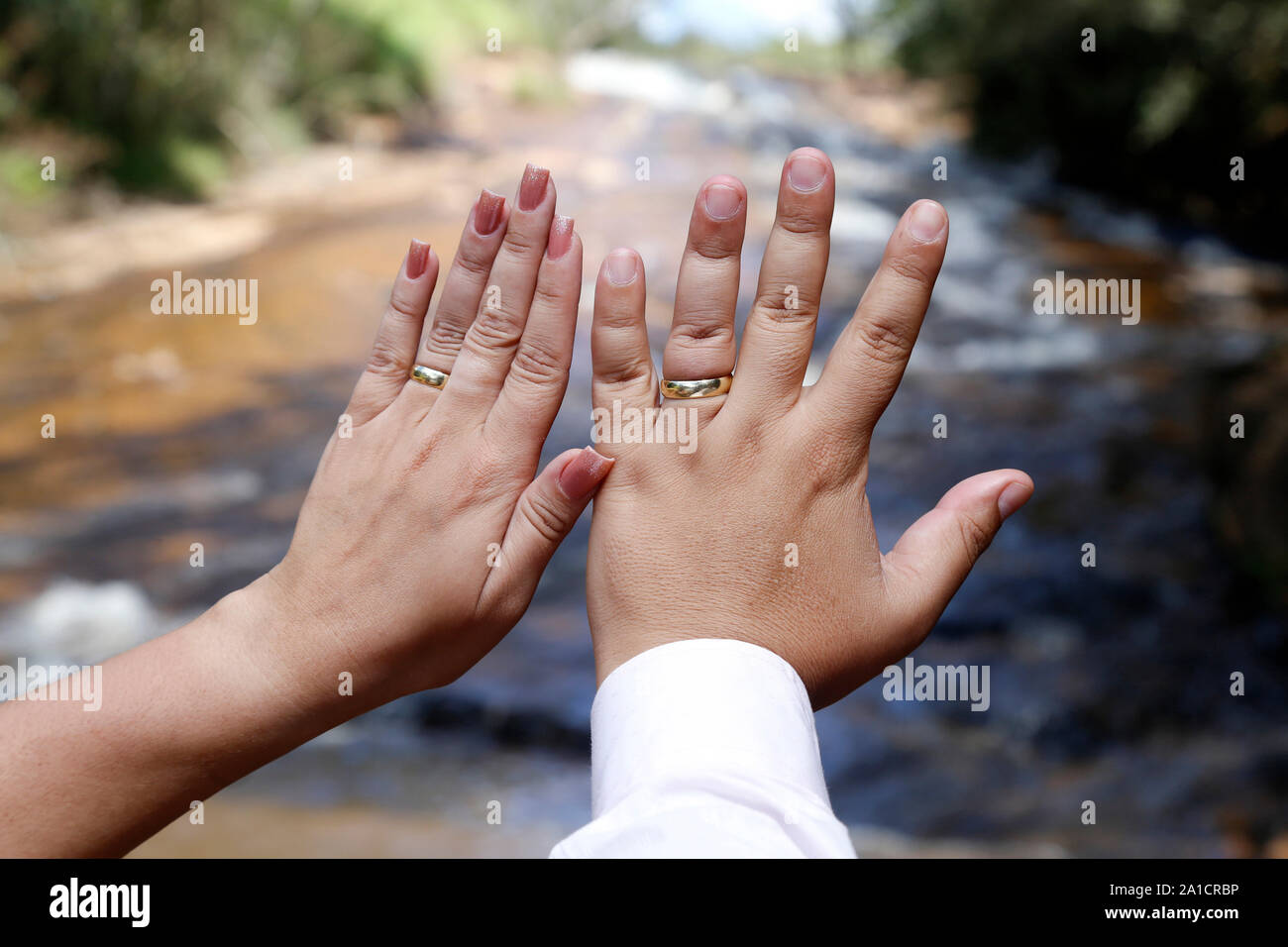 Grooms hands joined using wedding rings golden wedding rings Stock