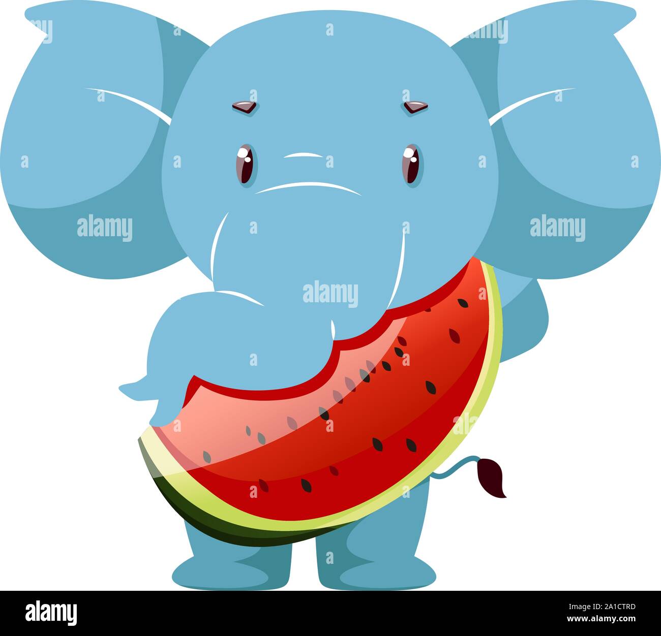 Elephant with watermelon, illustration, vector on white background Stock Vector Image & Art Alamy