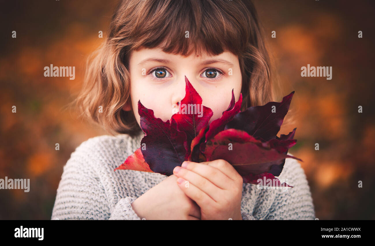 Little caucasian girl is covering her face with a fall leaf and looking ...