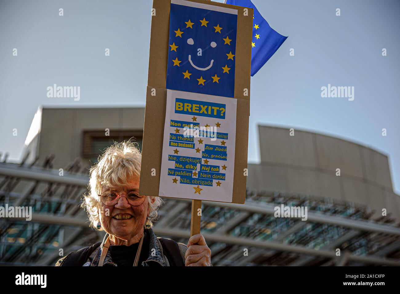 A protester holding a placard during the protest.Organized by European Movement in Scotland as well as Edinburgh For Europe, protesters took to the streets of Edinburgh to demand MPs revoke Article 50 to prevent a no-deal and that the EU shares a notion to combat climate change. Stock Photo