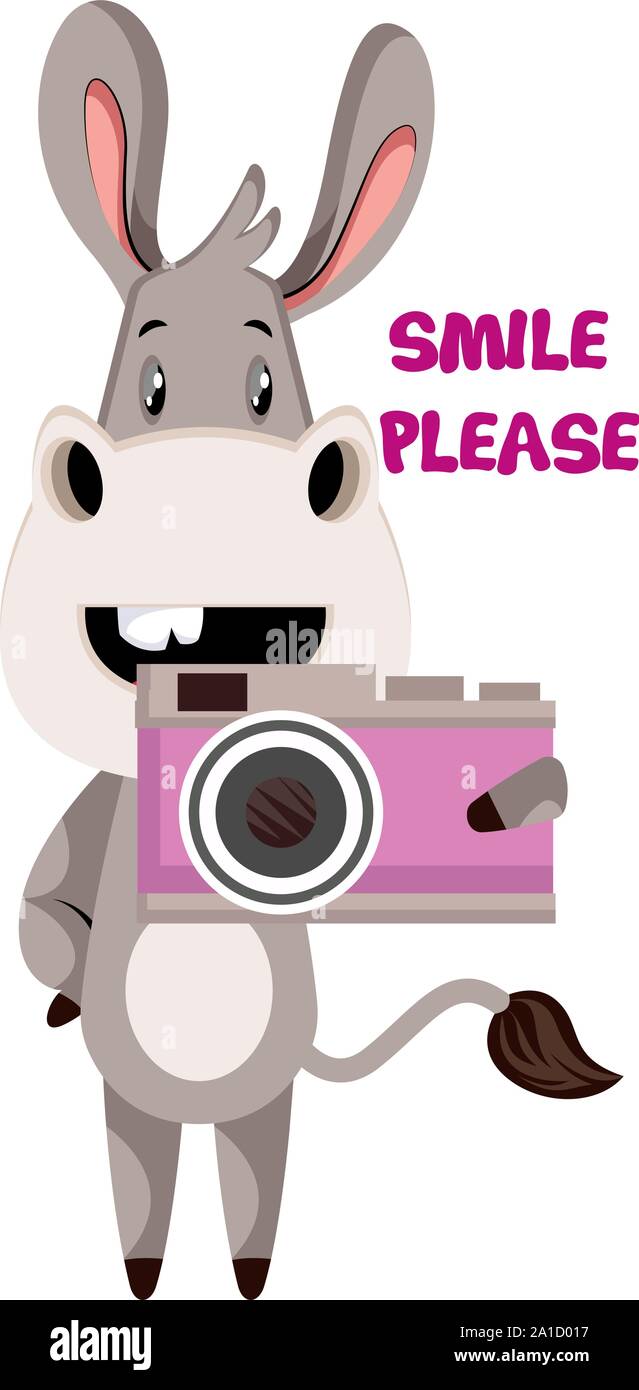 Donkey with camera, illustration, vector on white background. Stock Vector
