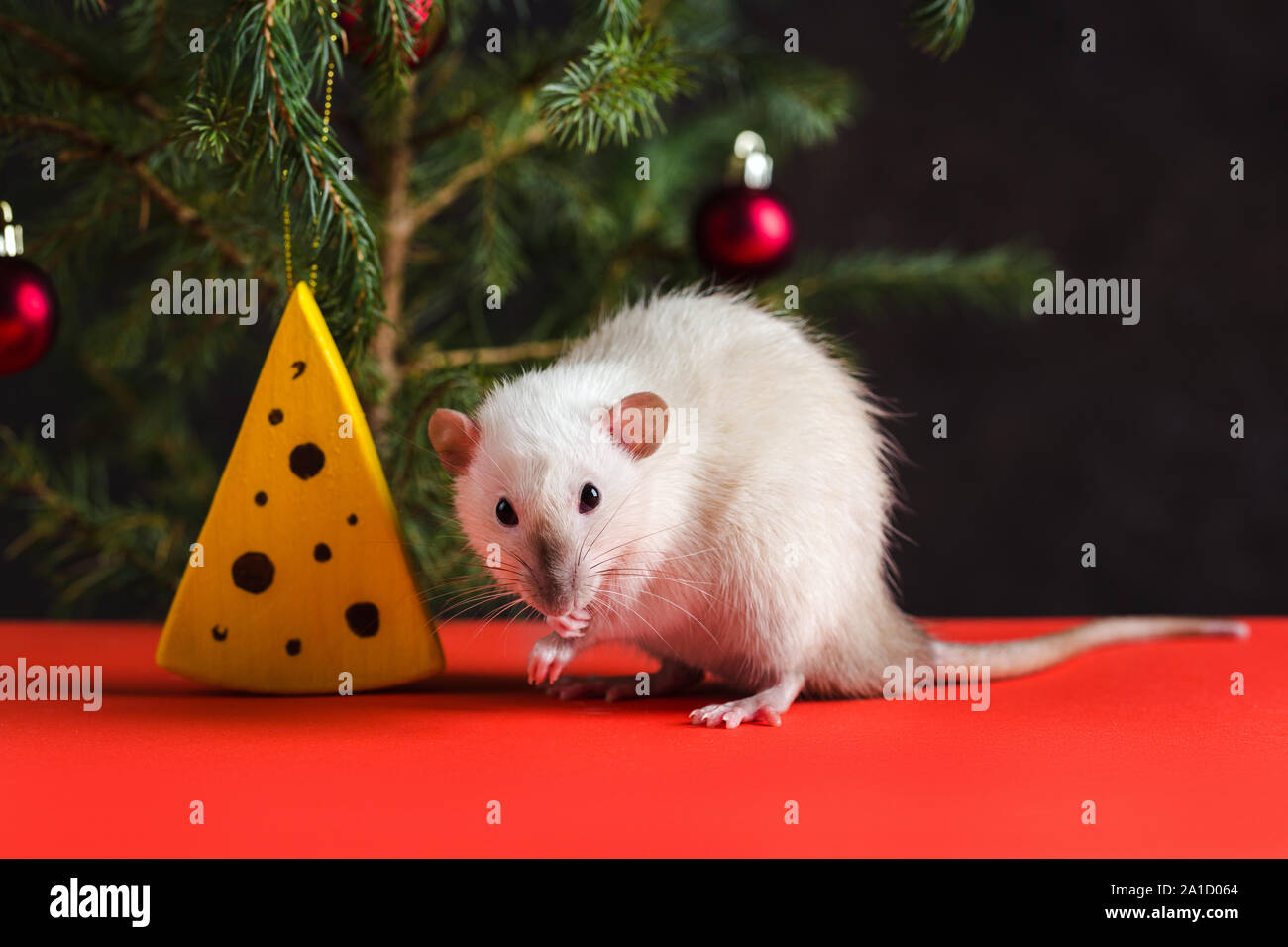 Handmade toy made of polymer clay white rat symbol of 2020 Stock Photo -  Alamy