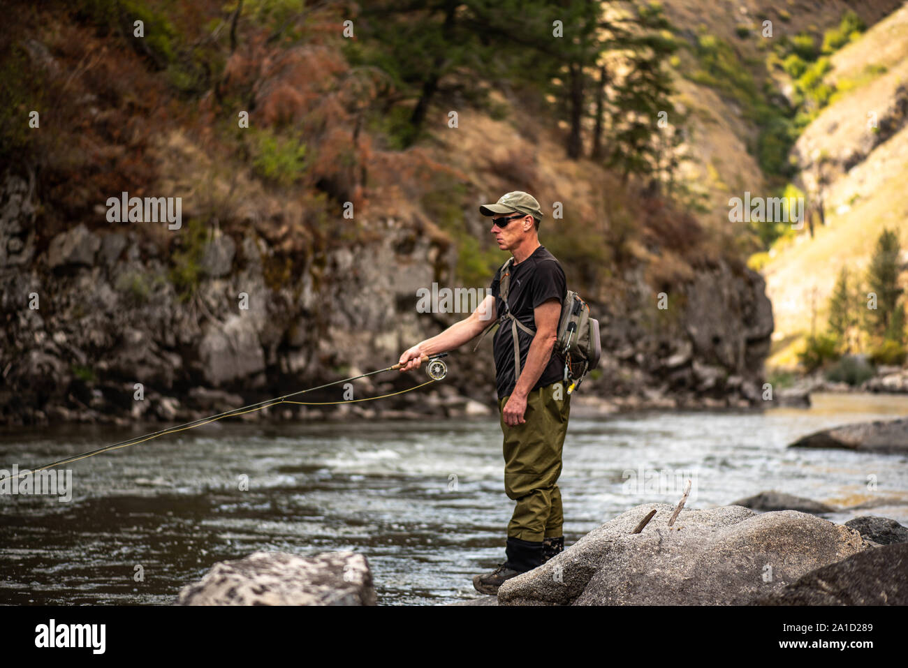 Fly fisherman casting in the mountain stream. Stock Photo