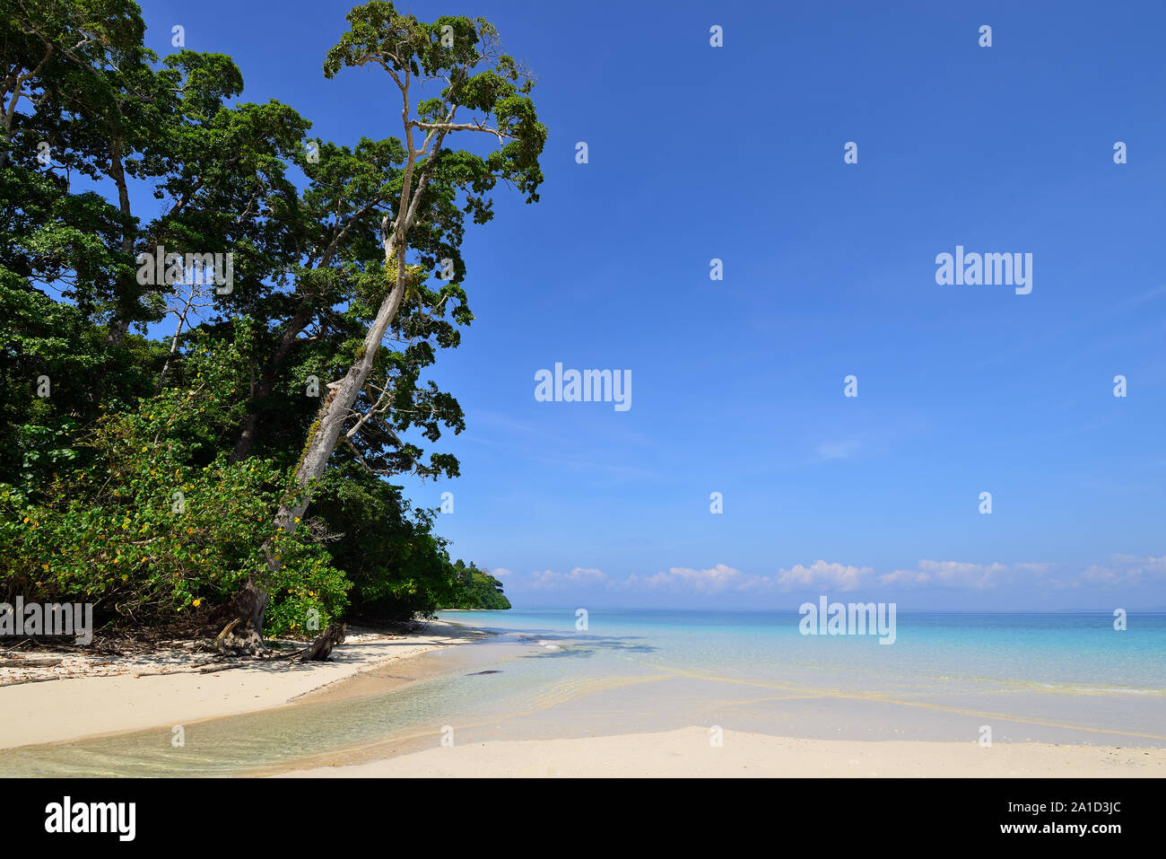 Beautiful Elephant beach on the Havelock Island of the Andaman and Nicobar Islands, India Stock Photo