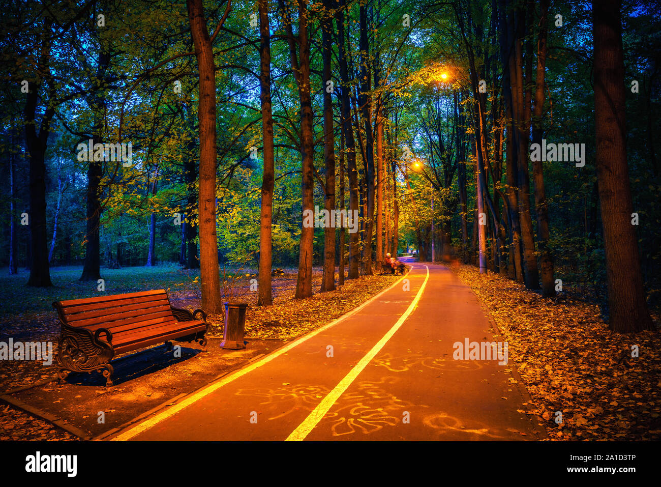 Pathway lights night hi-res stock photography and images - Alamy