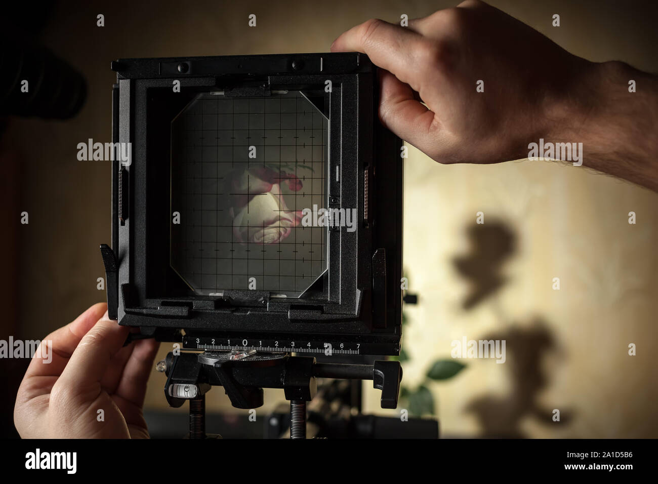 Photographer works by photographing a rose on large format cameras with