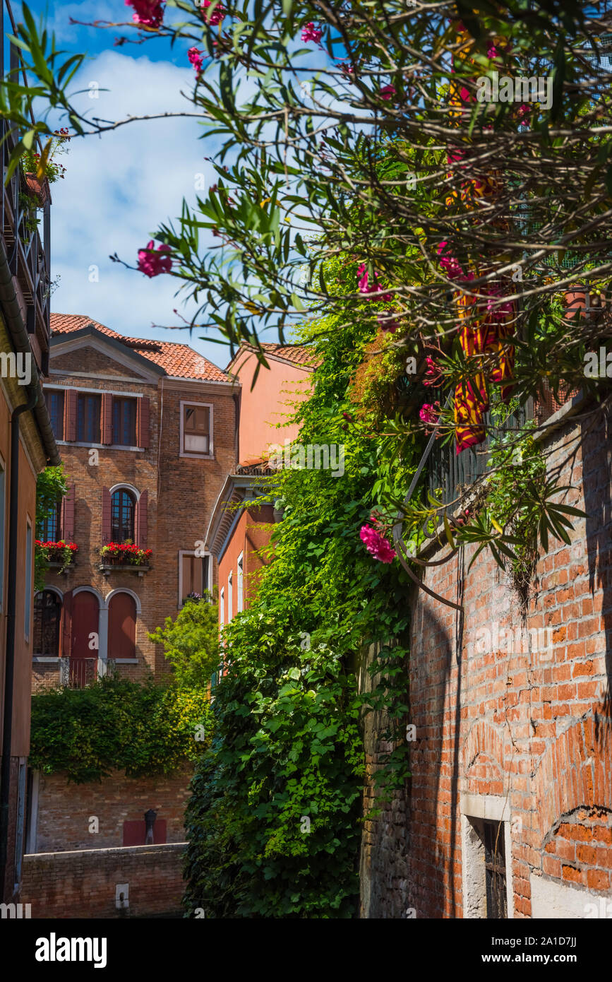 Versteckte Gärten in Venedig Venice, hidden Gardens Stock Photo Alamy