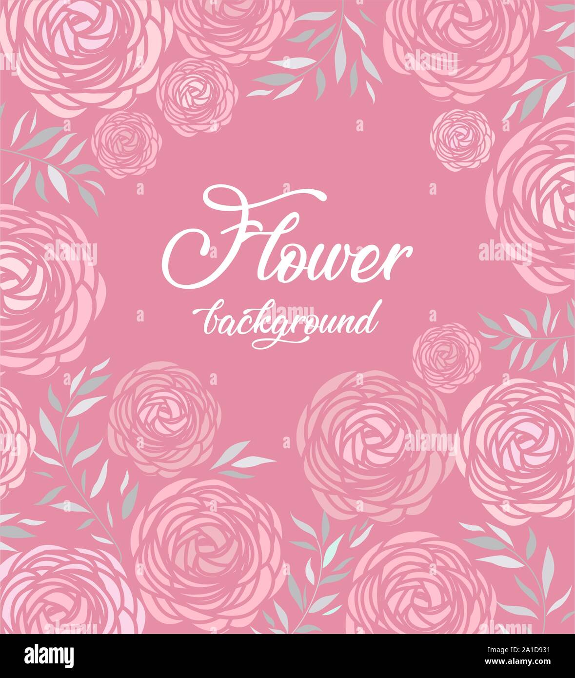 Vector Ranunculus Vector ranunculus flower Stock Vector Image & Art - Alamy