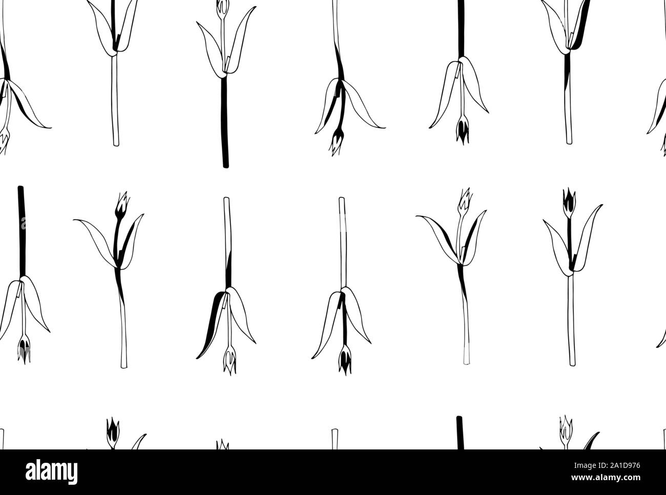 Vector seamless botanical pattern with hand drawn herbs isolated on ...