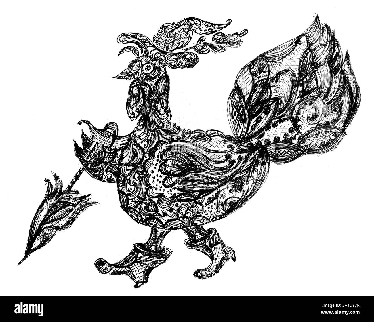 Turkey bird drawing Black and White Stock Photos & Images - Alamy