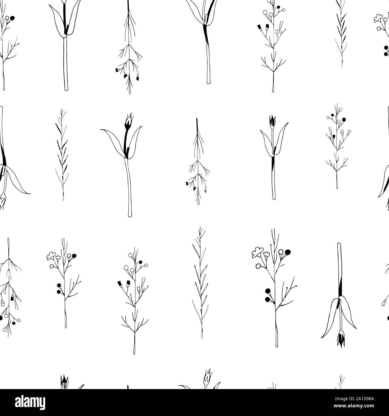 Vector seamless botanical pattern with hand drawn herbs isolated on ...