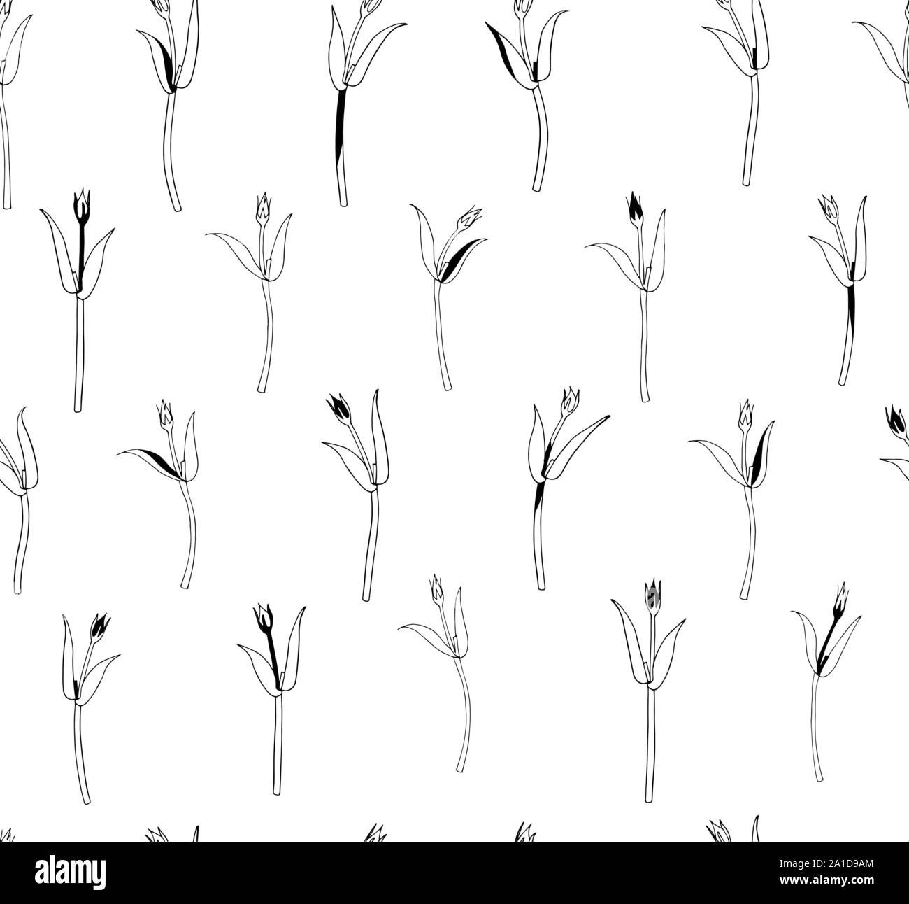 Vector seamless botanical pattern with hand drawn herbs isolated on ...