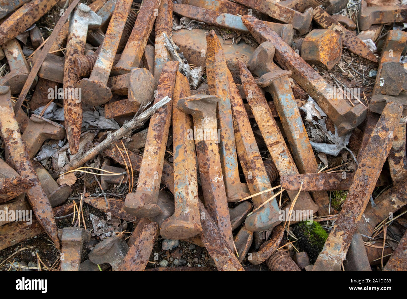 rusty railroad spikes on ground outdoors Stock Photo - Alamy