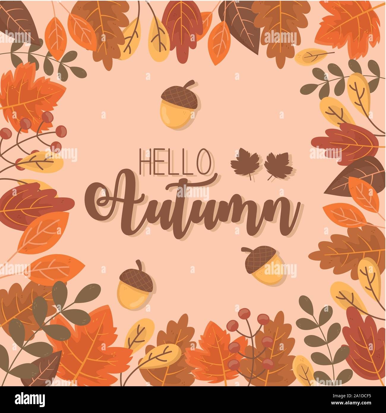 hello autumn acorn foliage leaves season background vector illustration ...