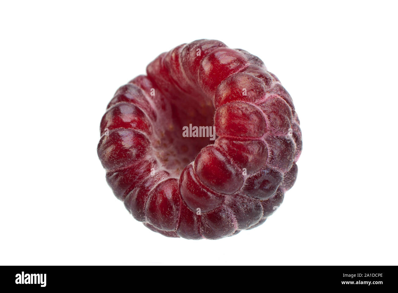 Cumberland fruit Hybrid raspberry and blackberry on white Stock Photo ...