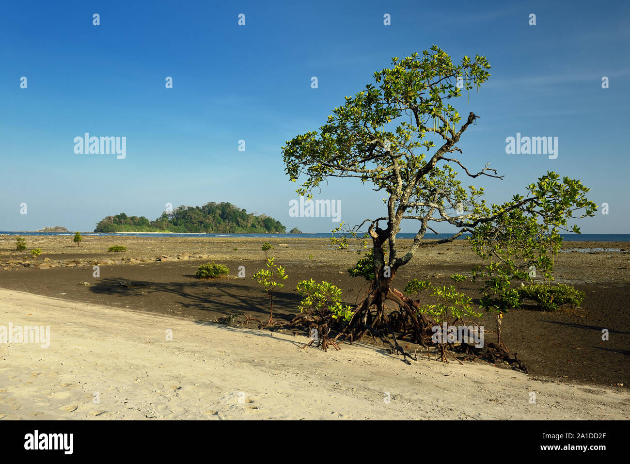 View on the Kalipur Beach of the Andaman and Nicobar Islands, India Stock Photo