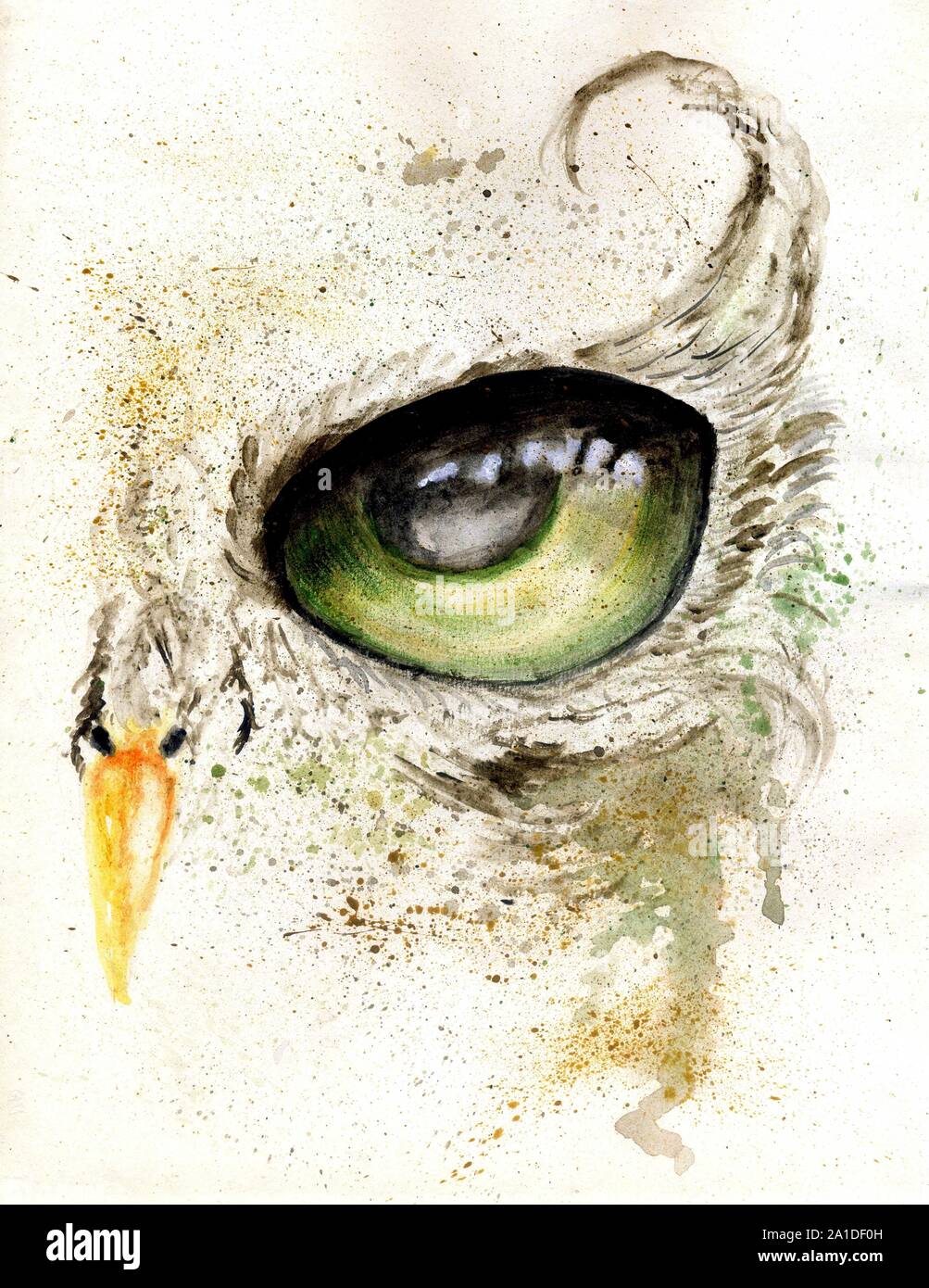 Fantasy owl eye painting with acrylic and watercolor Stock Photo - Alamy