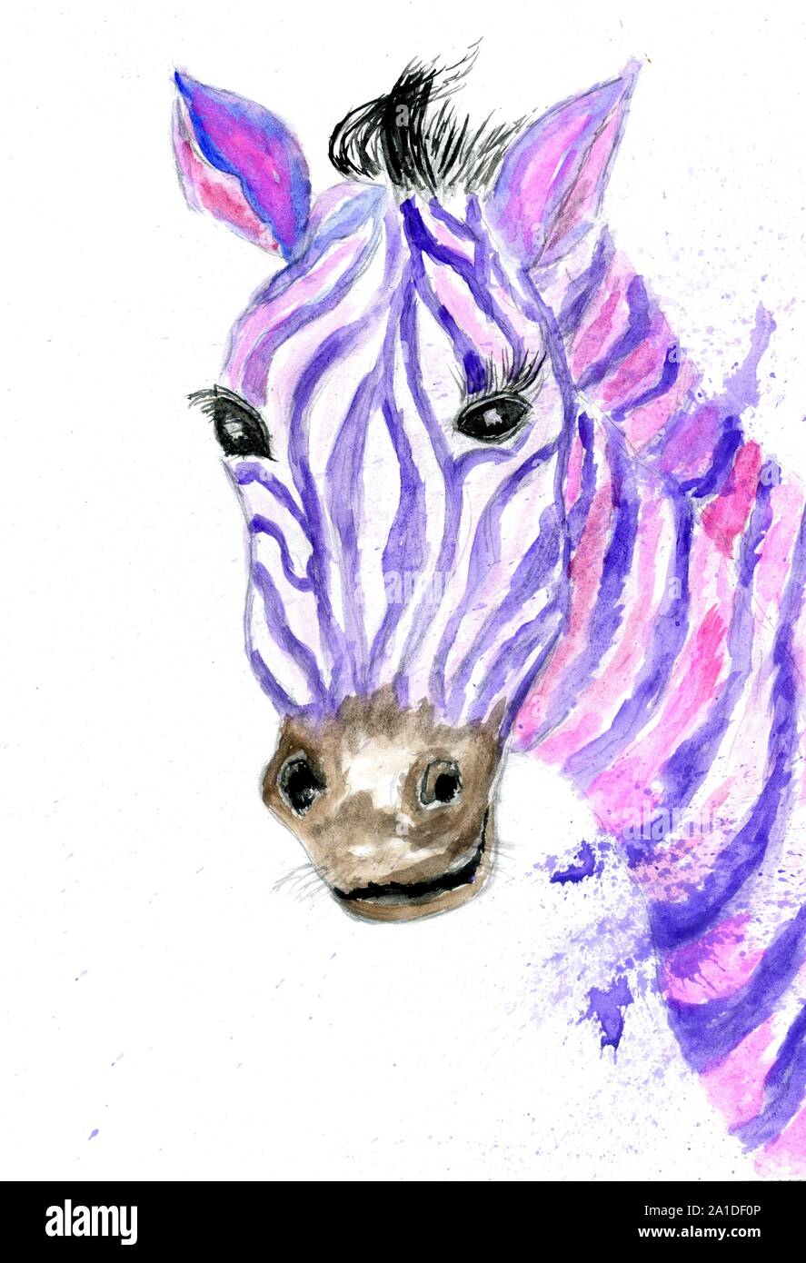 Watercolor illustration with a zebra portrait. Beautiful wildlife