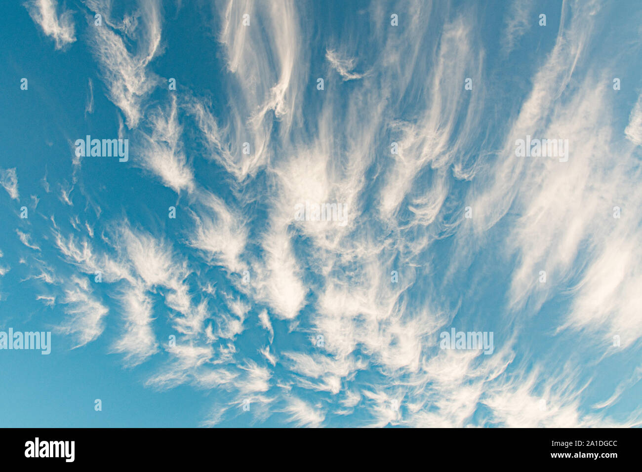 newlyn cornwall uk 26th september 2019 uk weather cirrus uncinus or mare s tails clouds over the sky in newlyn they form above 7000m and are usually seen when a warm front is