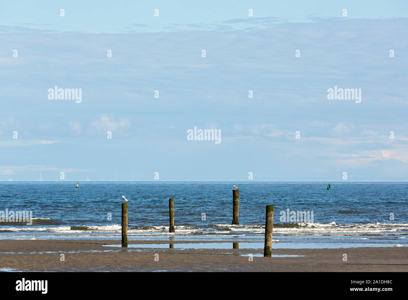 Norderney, Nordstrand, Strand, Holzpfähle, Meer, Himmel, Windpark Stock Photo