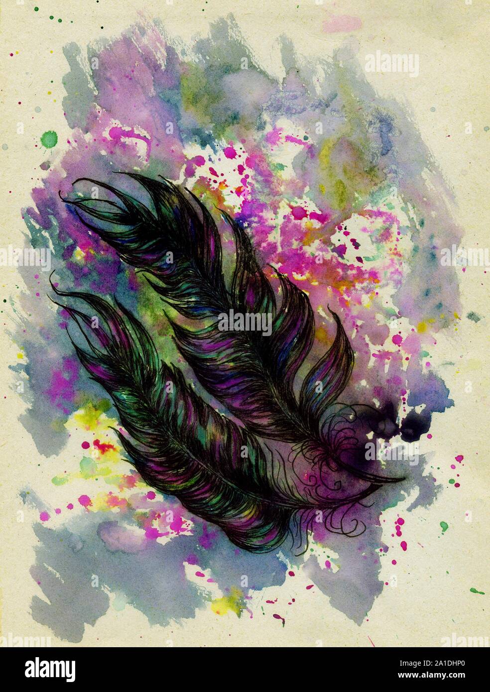 Black Ink Sketched Feathers And Watercolor Painting, Stylized Hand Drawn Illustration Stock Photo - Alamy