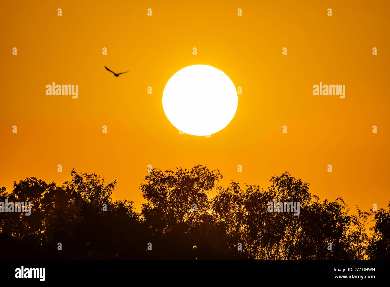 The sun rises gloriously nearly September Equinox morning in co. Wexford, Ireland. Stock Photo