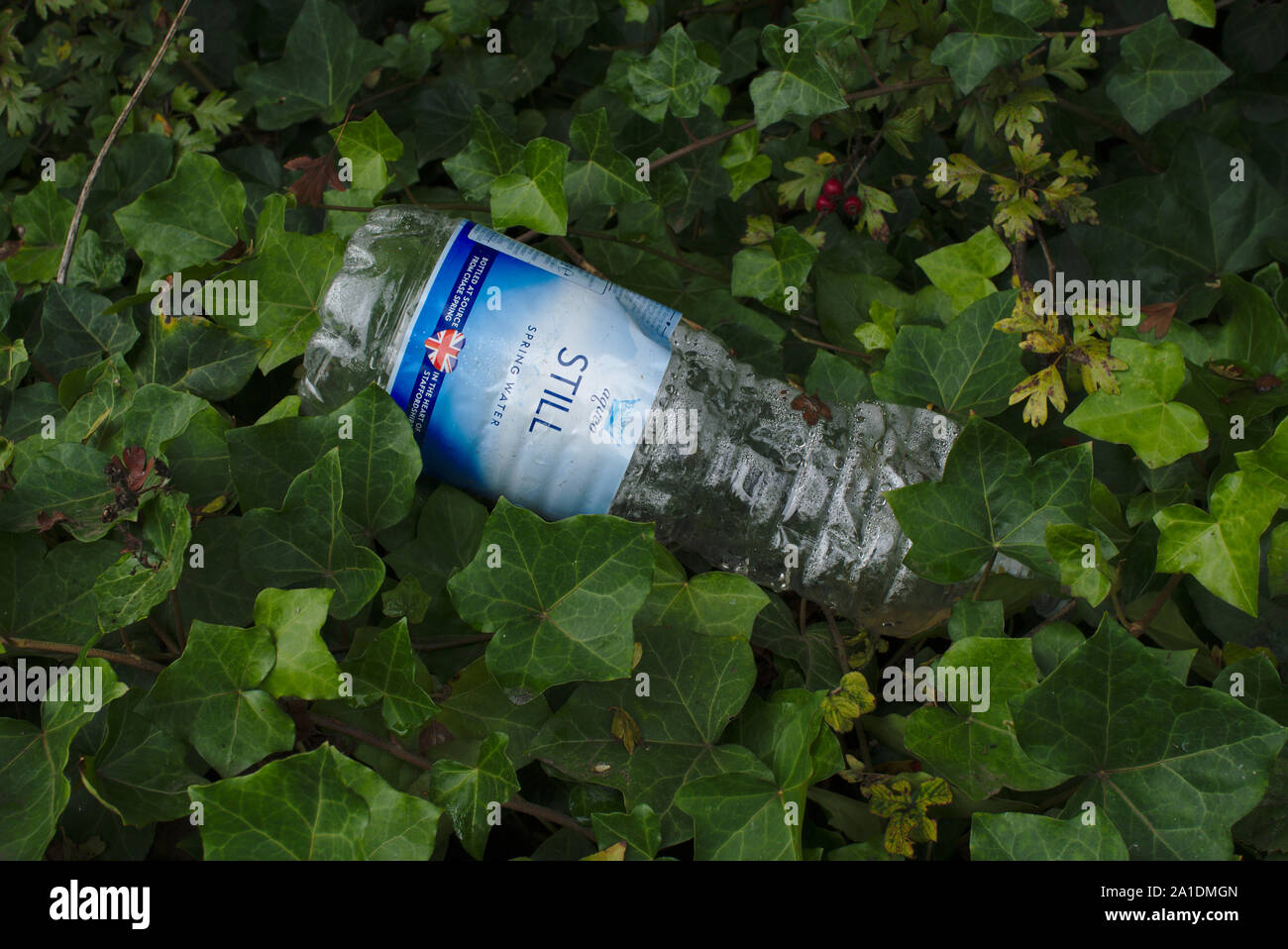 Discarded plastic bottle. Birmingham. British Isles Stock Photo