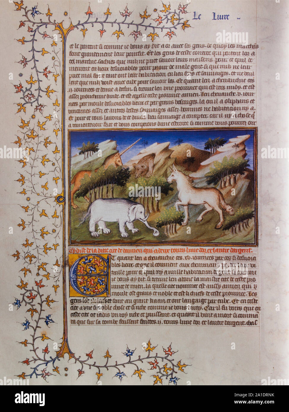 Page from Il Milione or Book of the Marvels of the World of Marco Polo,  Manuscript believed to date between 1298–1299 written by Rustichello da  Pisa Stock Photo - Alamy