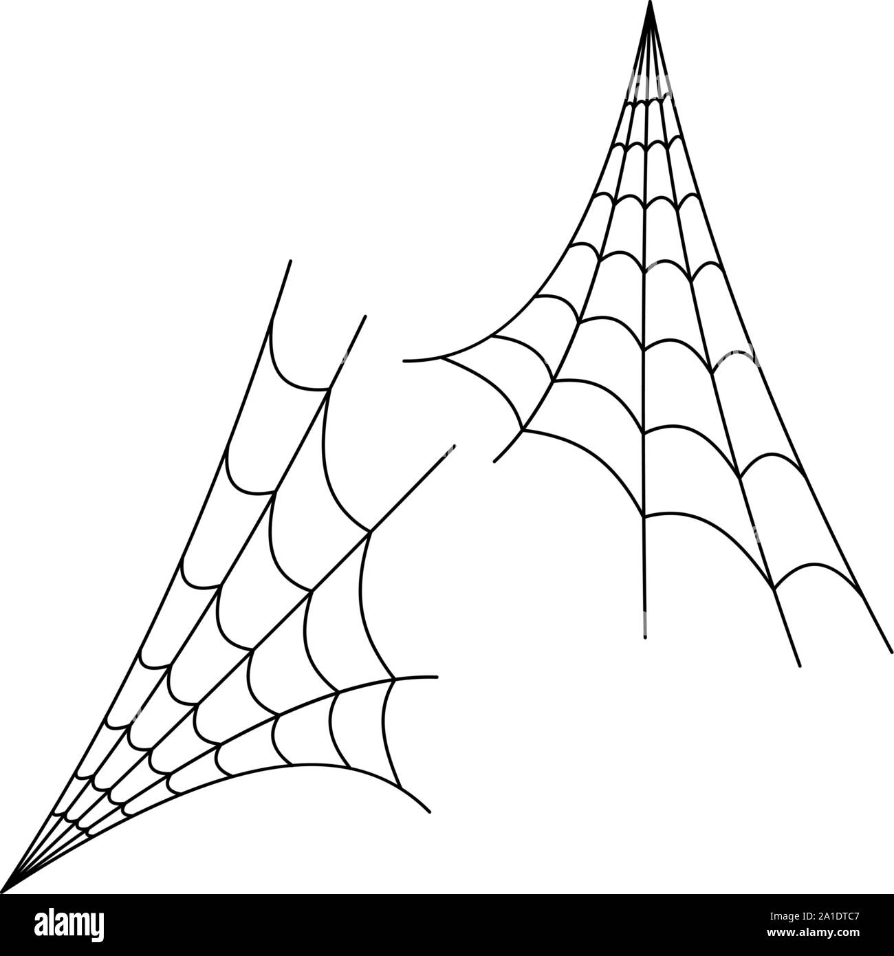 drawing of scary spider web on white background vector illustration