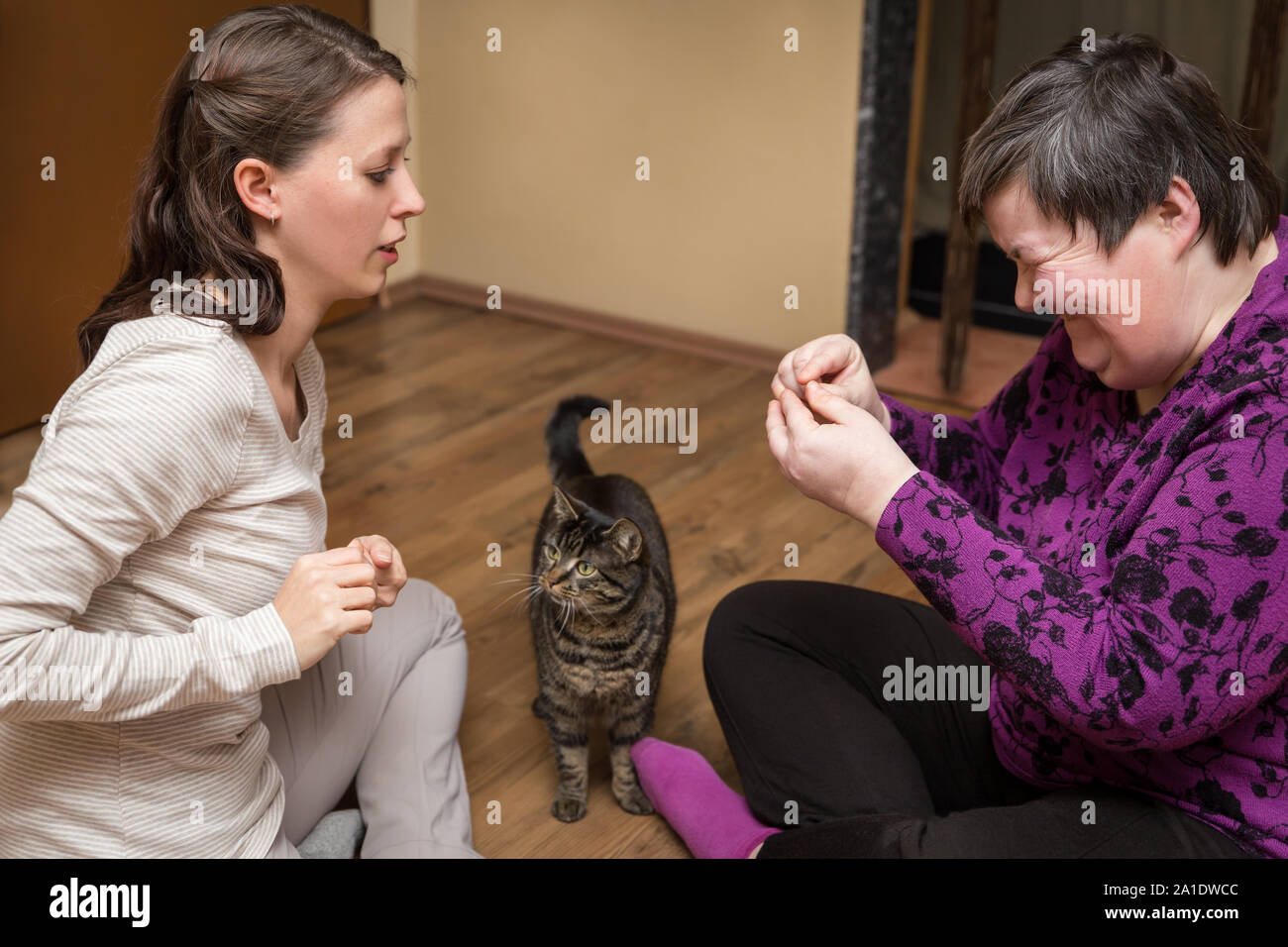 mentally disables woman and nurse with a cat, animal assisted therapy Stock Photo