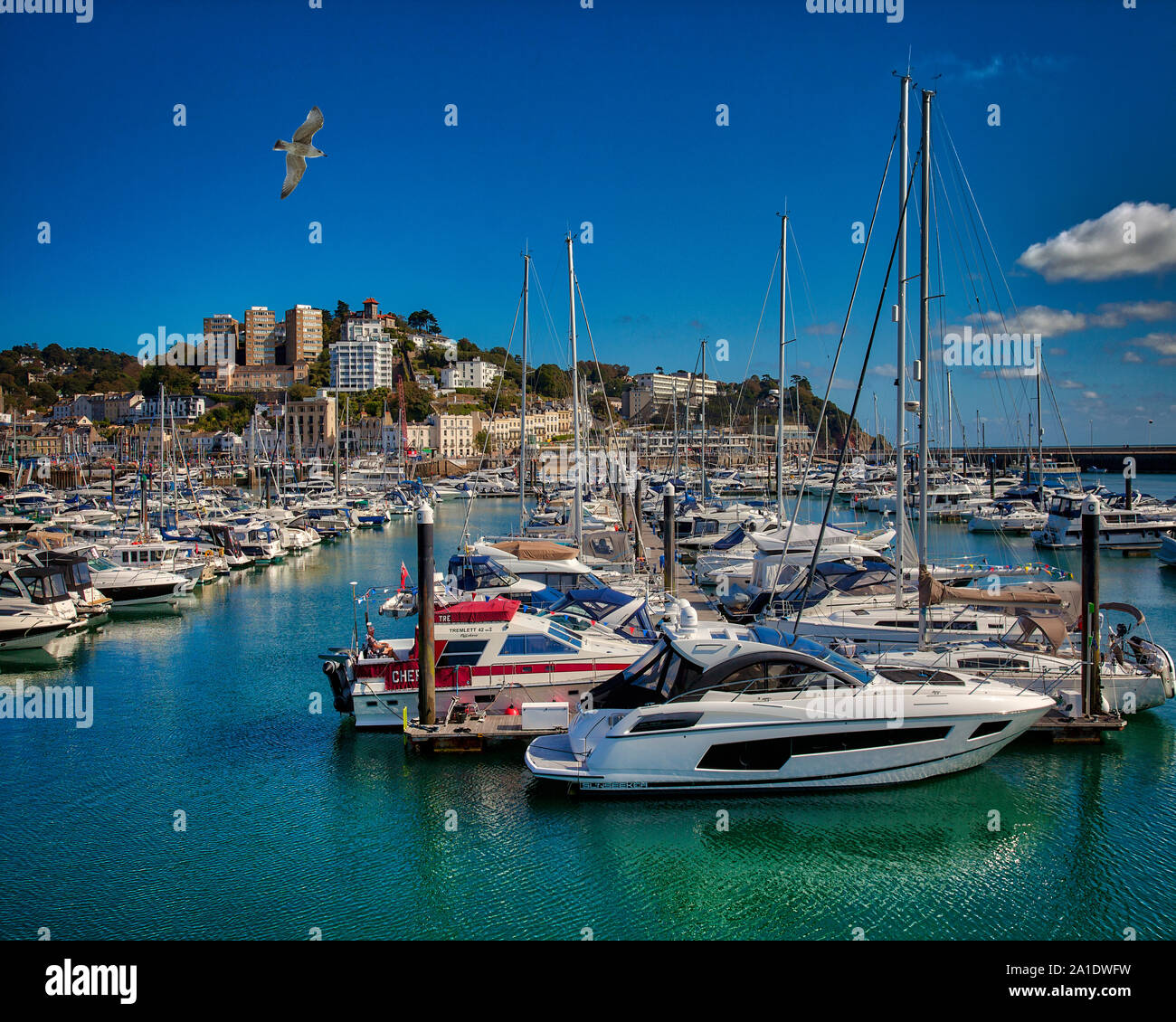 GB - DEVON: Torquay Outer Harbour and Town (HDR-Image) Stock Photo