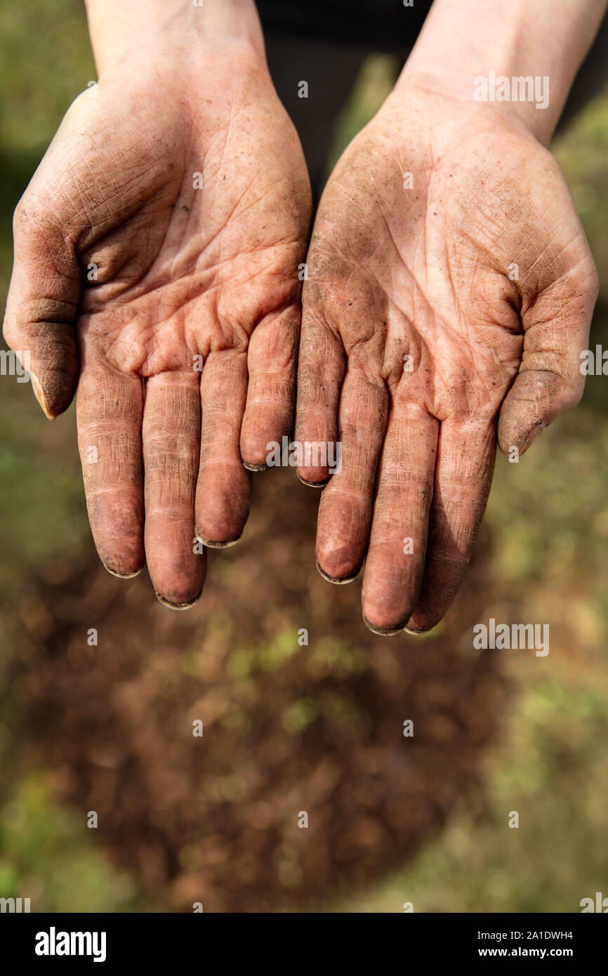 woman showing her dirty hands with soil and earth, garden work and landscaping Stock Photo